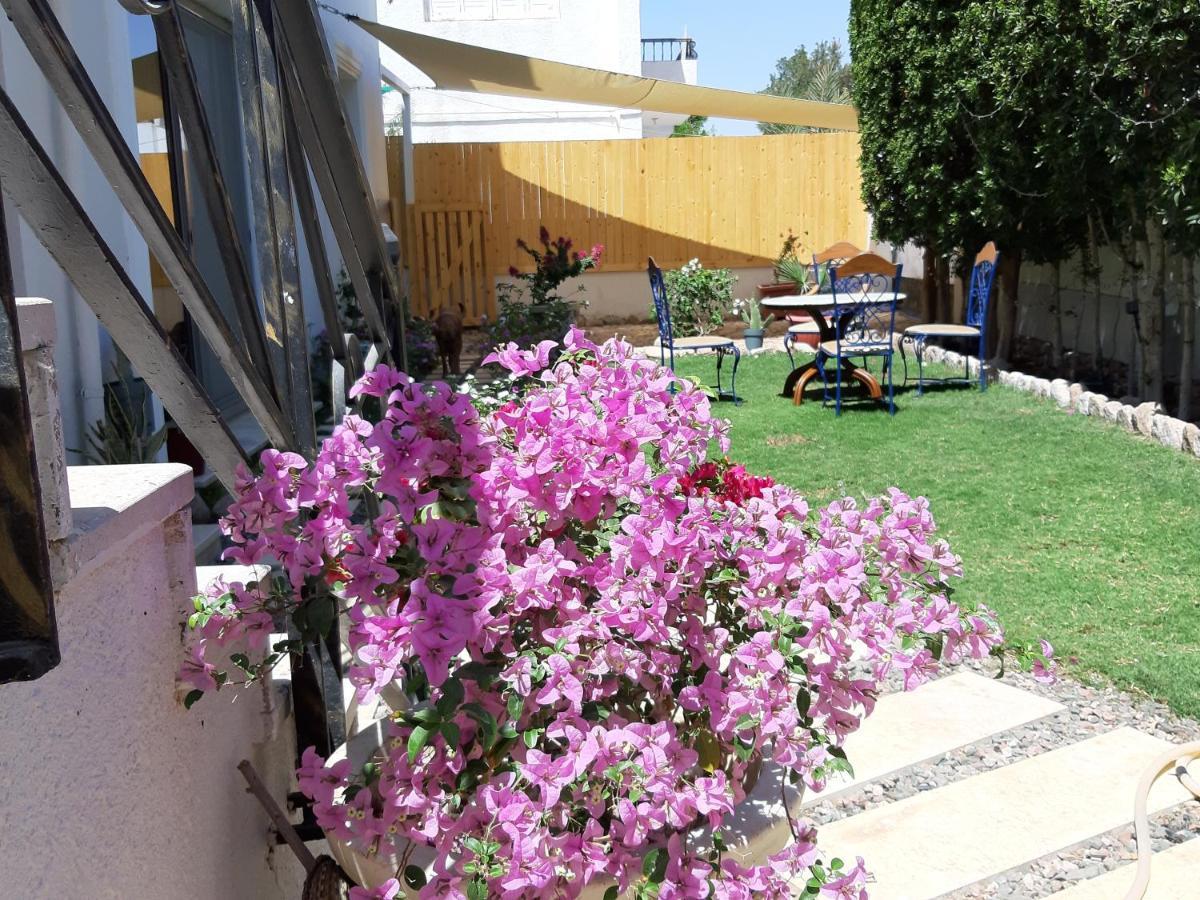 Villa D60 Charm el-Cheikh Extérieur photo